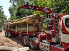 Aufbau fur Dreiachs-Teleskopsattelauflieger mit hydraulischer Zwangslenkung Scania 6x4 + Krane DIEBOLT D28-87