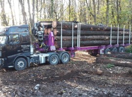 Semi remorque extensible 3 essieux avec grue sur col de cygne Volvo 6x4 + grue DIEBOLT D28-87