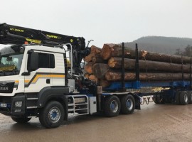 Aufbau fur dreiachs-Langholznachläufer mit Rohrdeichsellenkung MAN 6x4 + Krane Tajfun-Liv 300K87 + dreiachs-Langholznachläufer mit Rohrdeichsellenkung + Abnehmbare Pritsche
