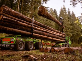 Forestry equipment for 3 axles forestry dolly Scania 6x4 + crane Tajfun-Liv 320K87 + AR3670