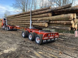 Equipement forestier pour arriere train 3 essieux directionnel Scania 6x4 + grue Tajfun-Liv 320K81