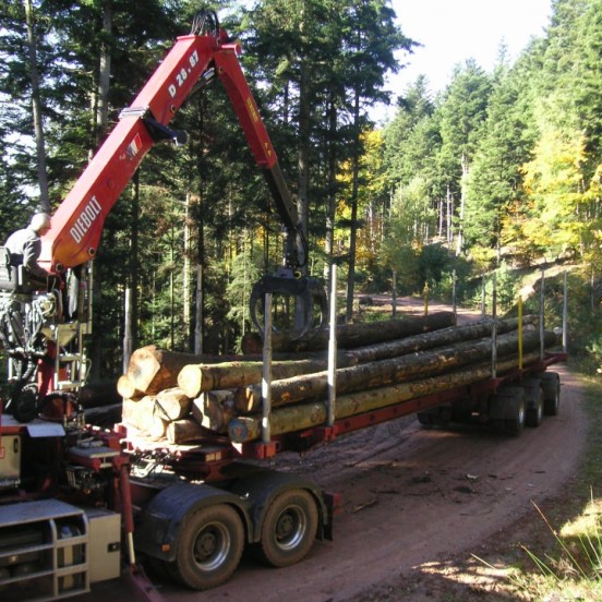 Grues Diebolt bois court et bois long