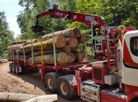 Equipement forestier pour semi-remorque 3 essieux directionnelle Scania 6x4 + grue DIEBOLT D28-87