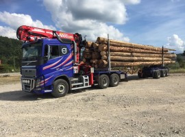 Equipement forestier pour arriere train 3 essieux directionnel Volvo 6x4 + grue Epsilon S300L98 + AR3670