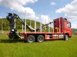 Forestry equipment with 3 axles platform trailer Mercedes + crane Tajfun-Liv L190Z96 + R31700