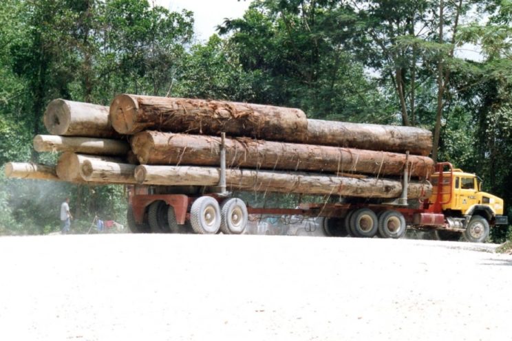 Arrière-train forestier 4 demi-lignes d&rsquo;essieux &#8211; hors UE