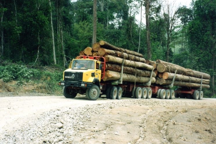 Arrière-train forestier 4 demi-lignes d&rsquo;essieux &#8211; hors UE