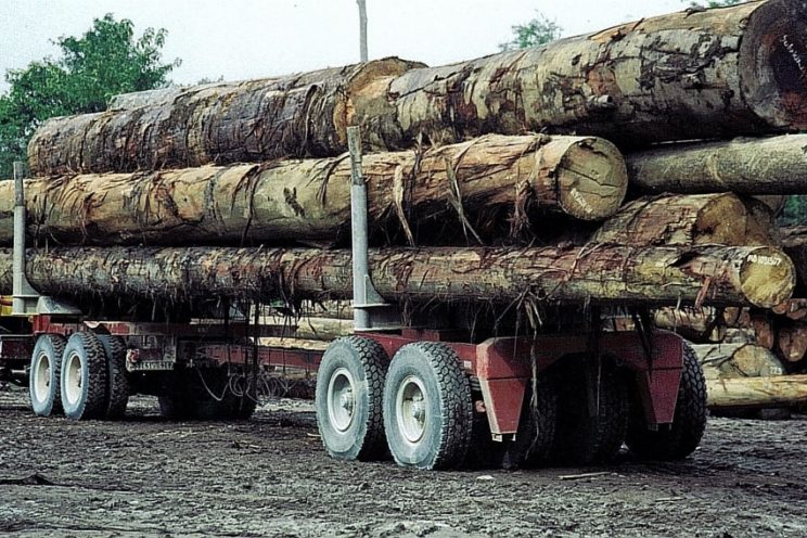 Arrière-train forestier 4 demi-lignes d&rsquo;essieux &#8211; hors UE