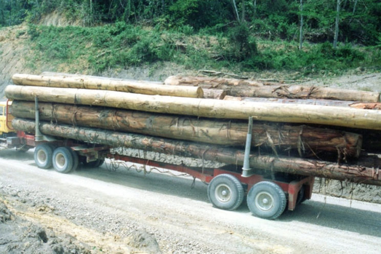 Arrière-train forestier 4 demi-lignes d&rsquo;essieux &#8211; hors UE