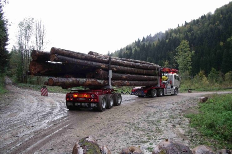 Arrière-train forestier 3 essieux directionnel