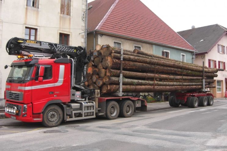 Dreiachs-Langholznachläufer mit Selbstlenkung