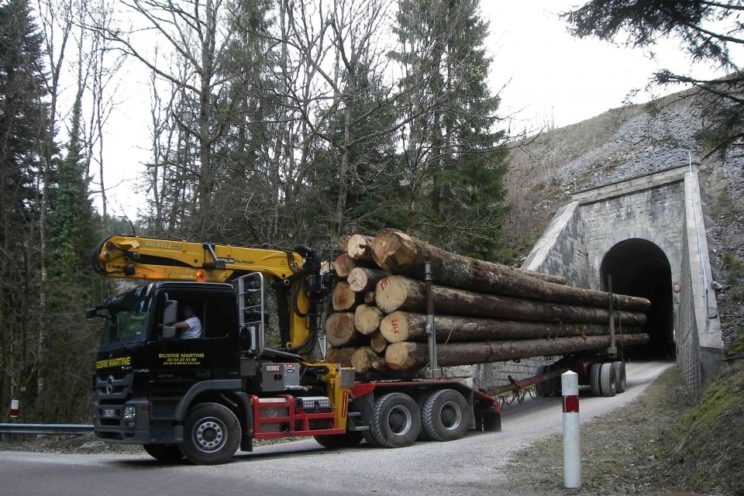 2 axles forestry dolly with drawbar