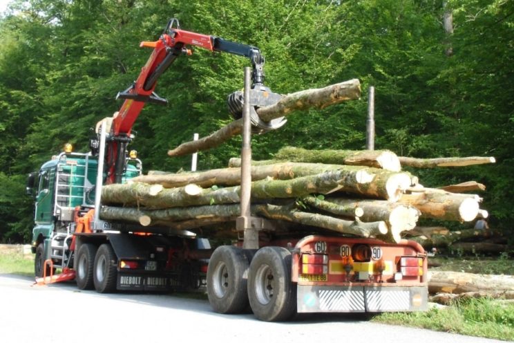 Zweiachs-Langholznachläufer mit Rohrdeichsellenkung