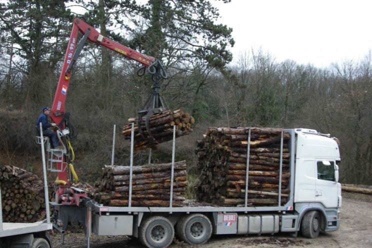 Équipement forestier pour bois court