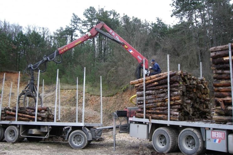 16 Tm foldable crane for short woods