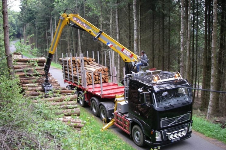 24 Tm crane for timbers