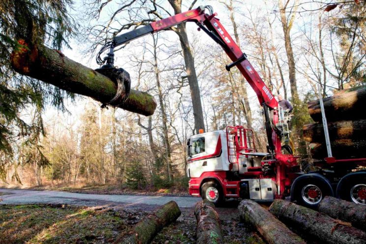 28 Tm crane for timbers