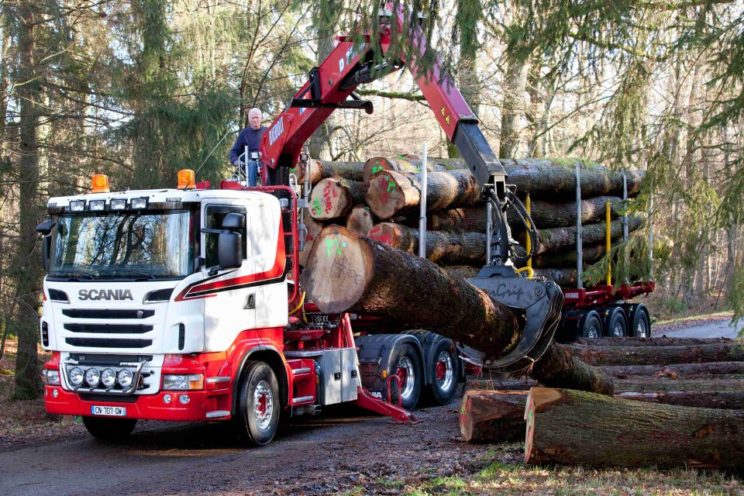 28 Tm crane for timbers