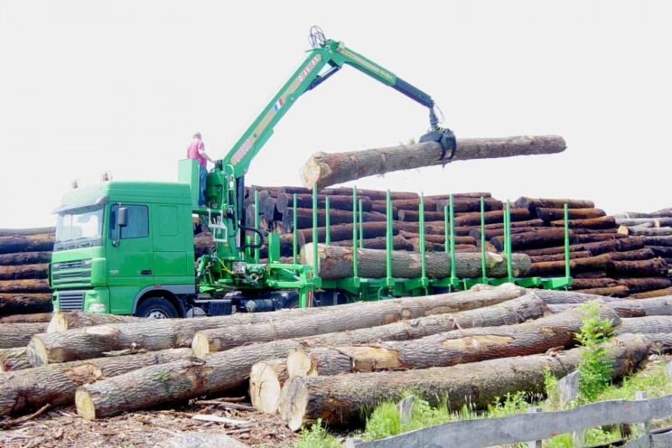 40 Tm crane for timbers