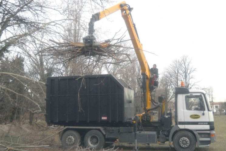 Grue de manutention, charpentier et recyclage