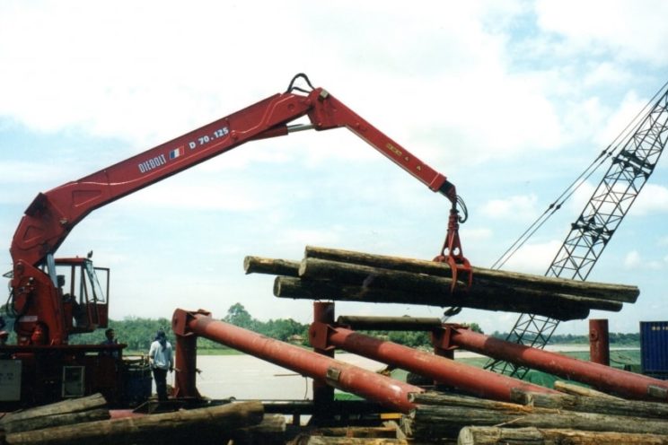 Grue stationnaire