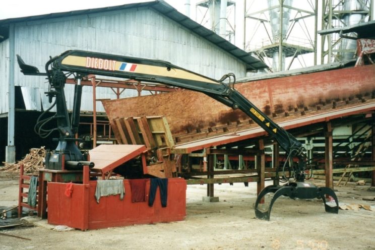 Grue stationnaire