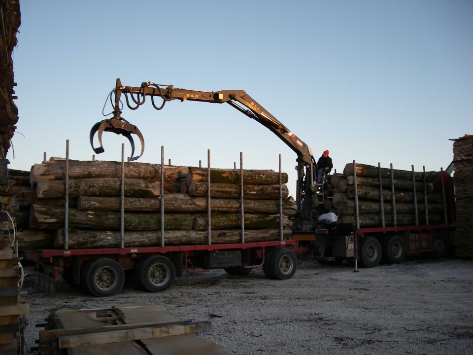 Remorque pour bois avec basculement manuel Express 500 - Rosselli Snc