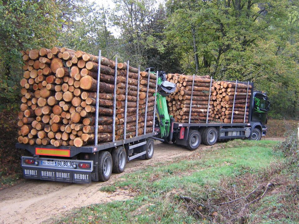 Remorque pour bois avec basculement manuel Express 500 - Rosselli Snc