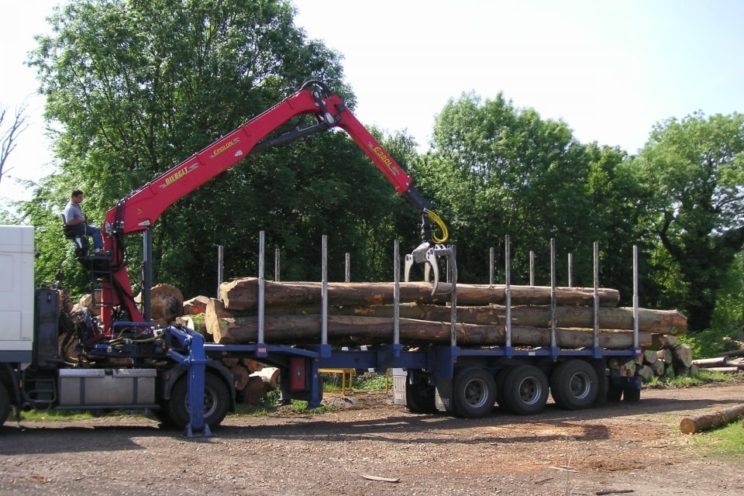 3 axles extendable semi-trailer with or without crane